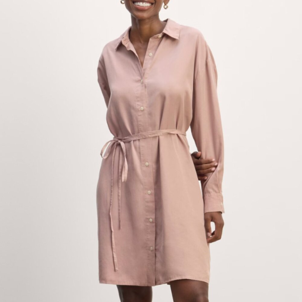 Everlane Women's Long Sleeve Dress in Blush Pink